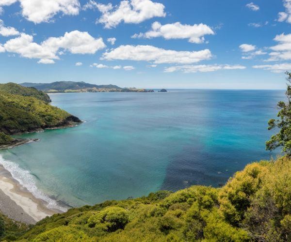 Nz north auckland great barrier island aerial view
