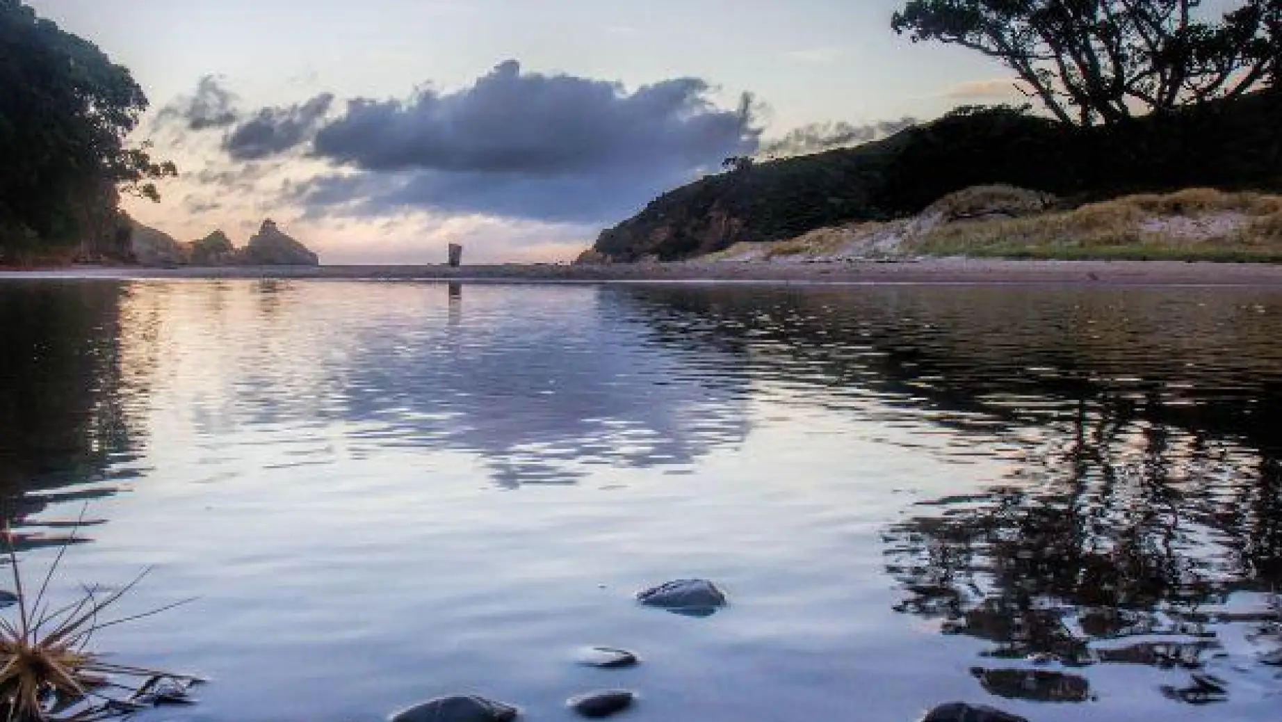 Nz north auckland great barrier island sunset