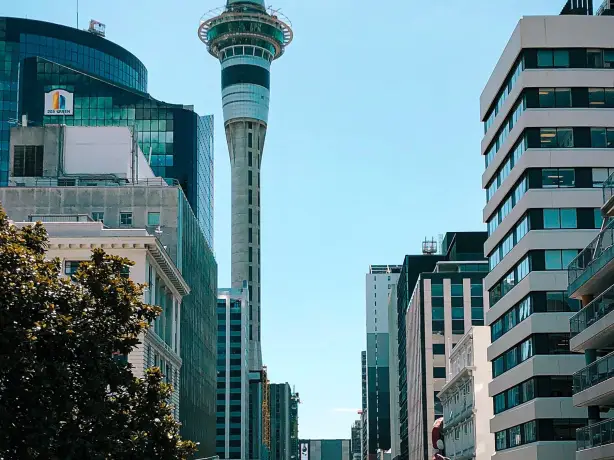 Nz north auckland skytower
