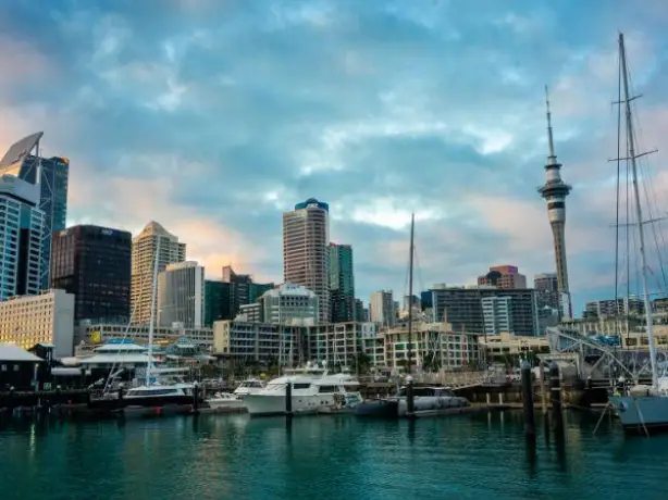 Nz north auckland wynyard quarter harbour