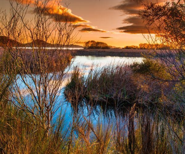 nz north lake taupo waihi village inlet