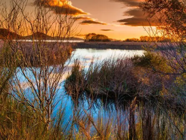 nz north lake taupo waihi village inlet