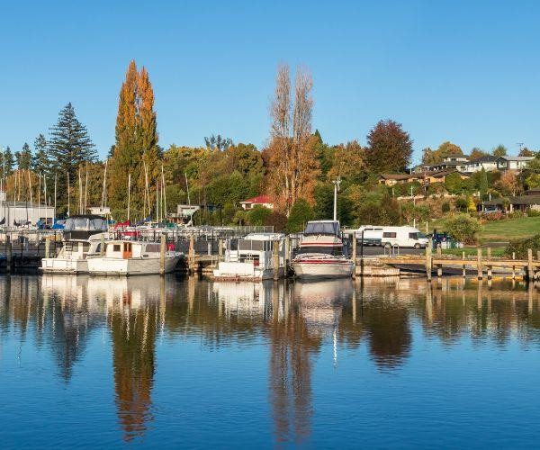Nz north lake taupo taupo town boats morning reflection