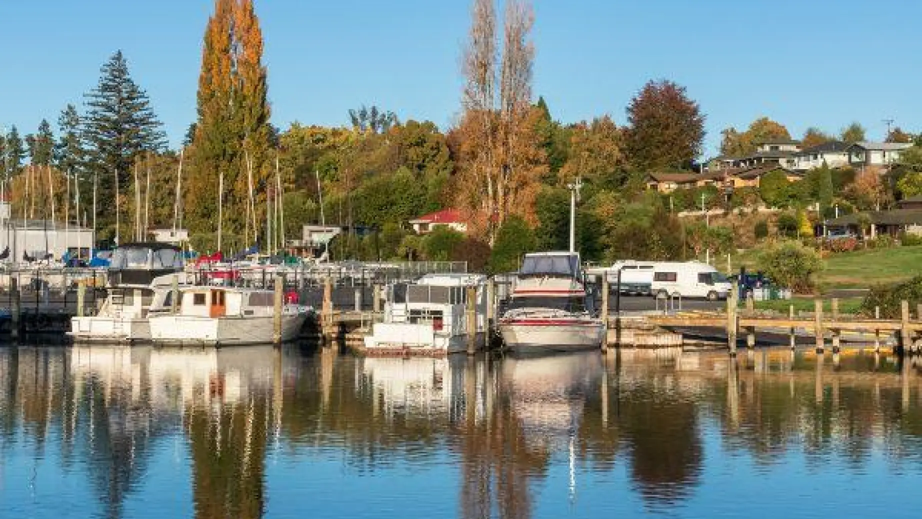 Nz north lake taupo taupo town boats morning reflection