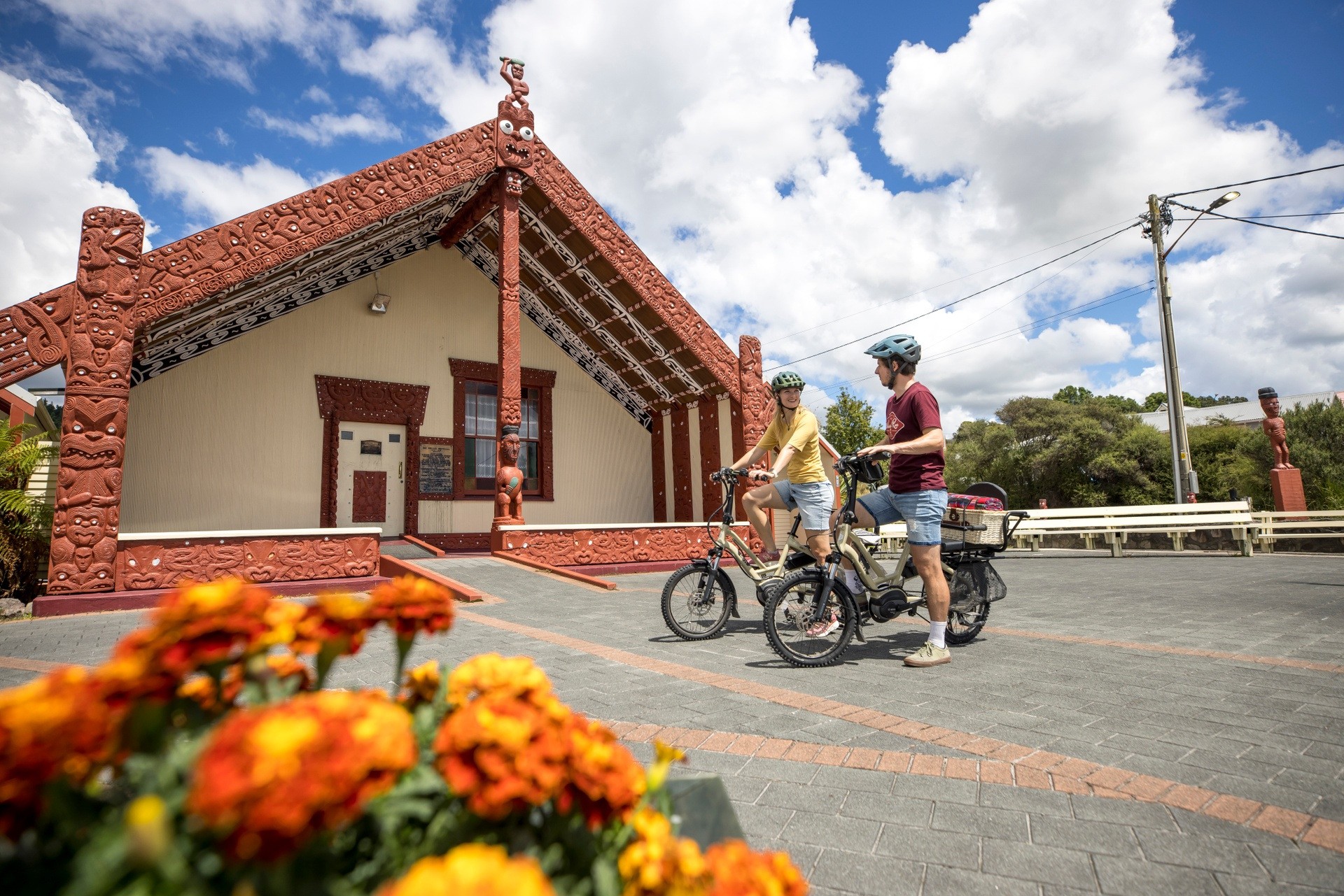Nz north rotorua activity bike