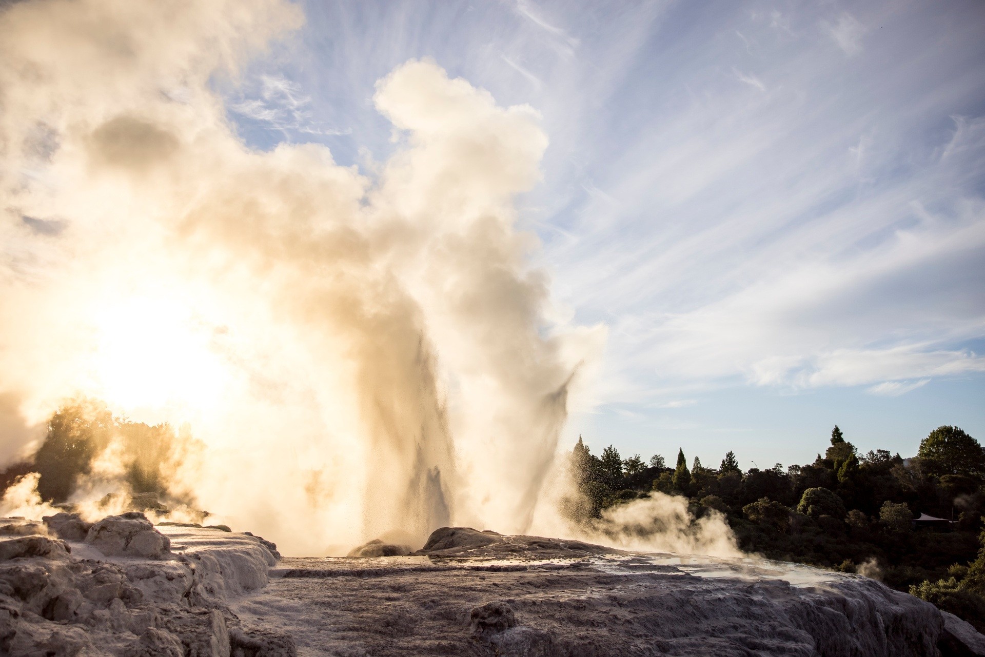 Nz north rootorua geyser smoke