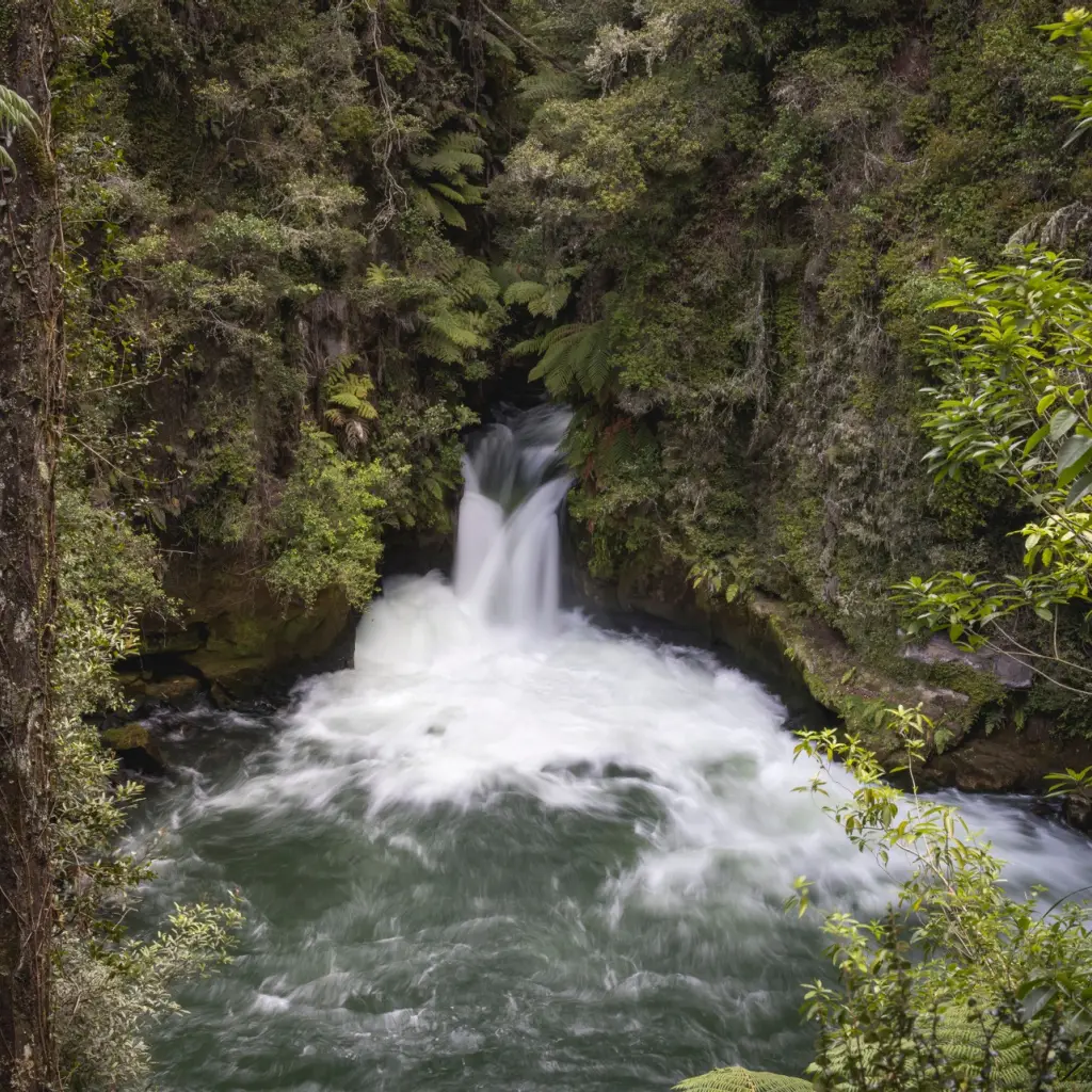 Nz north rotorua kaituna waterfalll