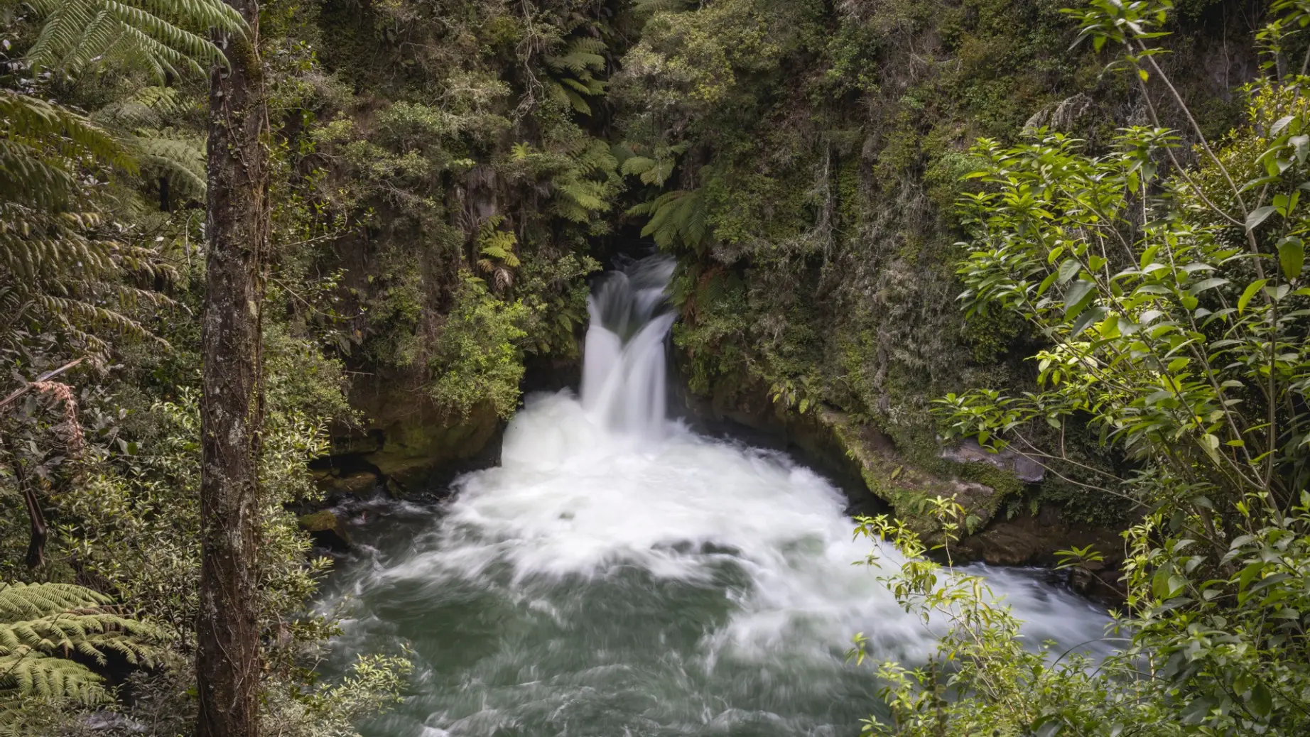 Nz north rotorua kaituna waterfalll