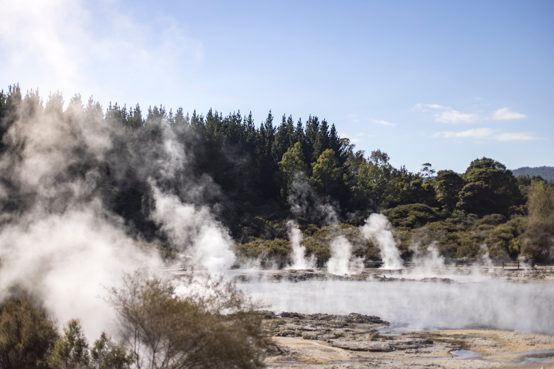 Nz north rotorua hot springs