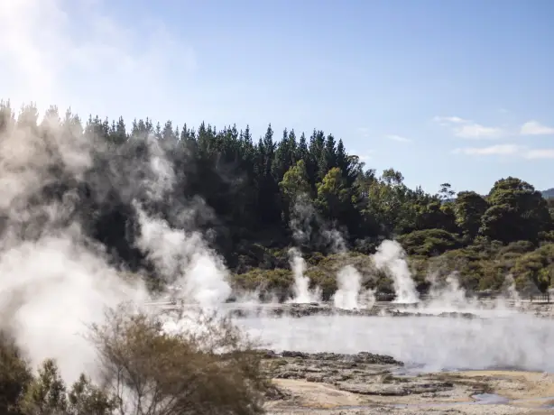 Nz north rotorua hot springs