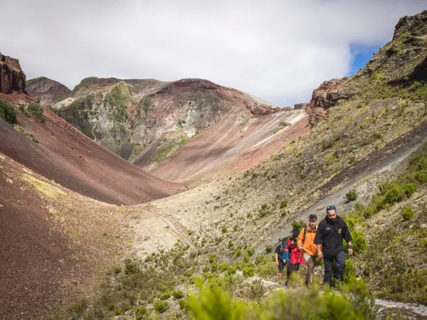 Nz north rotorua hiking friends