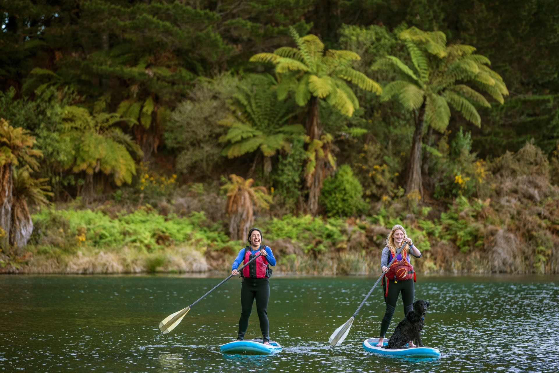 Nz nrth rotorua lake rotoiti Rotorua Paddle Boards Miles Holden