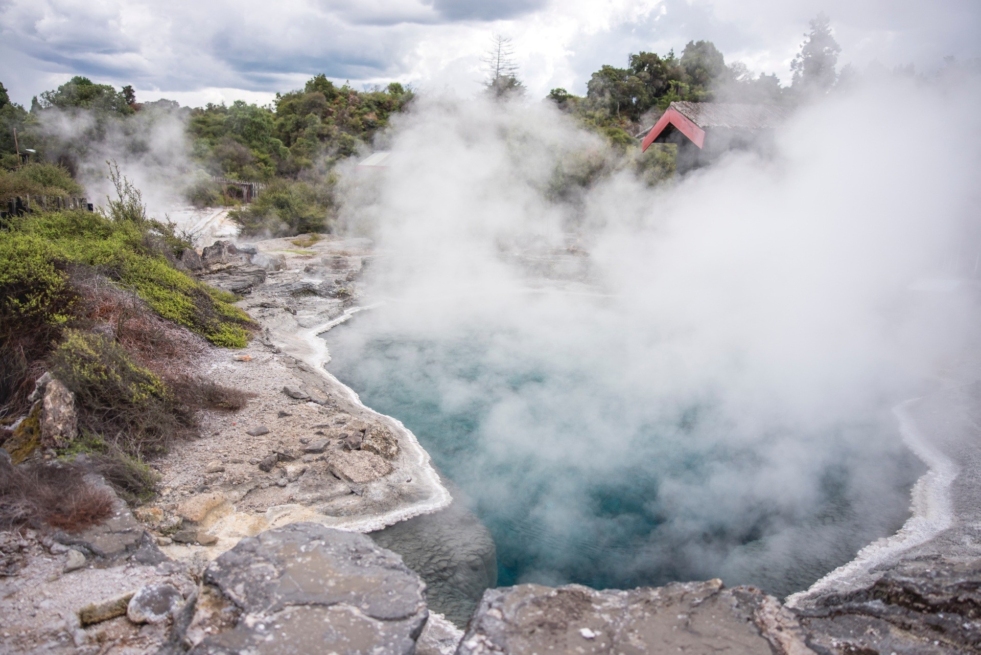 Geothermale dampfende Quelle in Neuseeland
