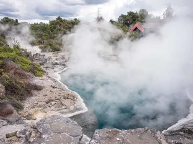Geothermale dampfende Quelle in Neuseeland