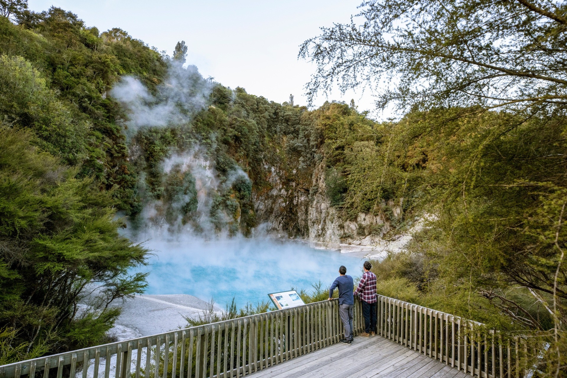 Nz north rotrua Waimangu Volcanic Valley Miles Holden