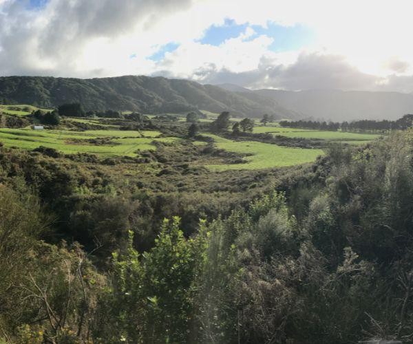 Nz north upper hutt nature