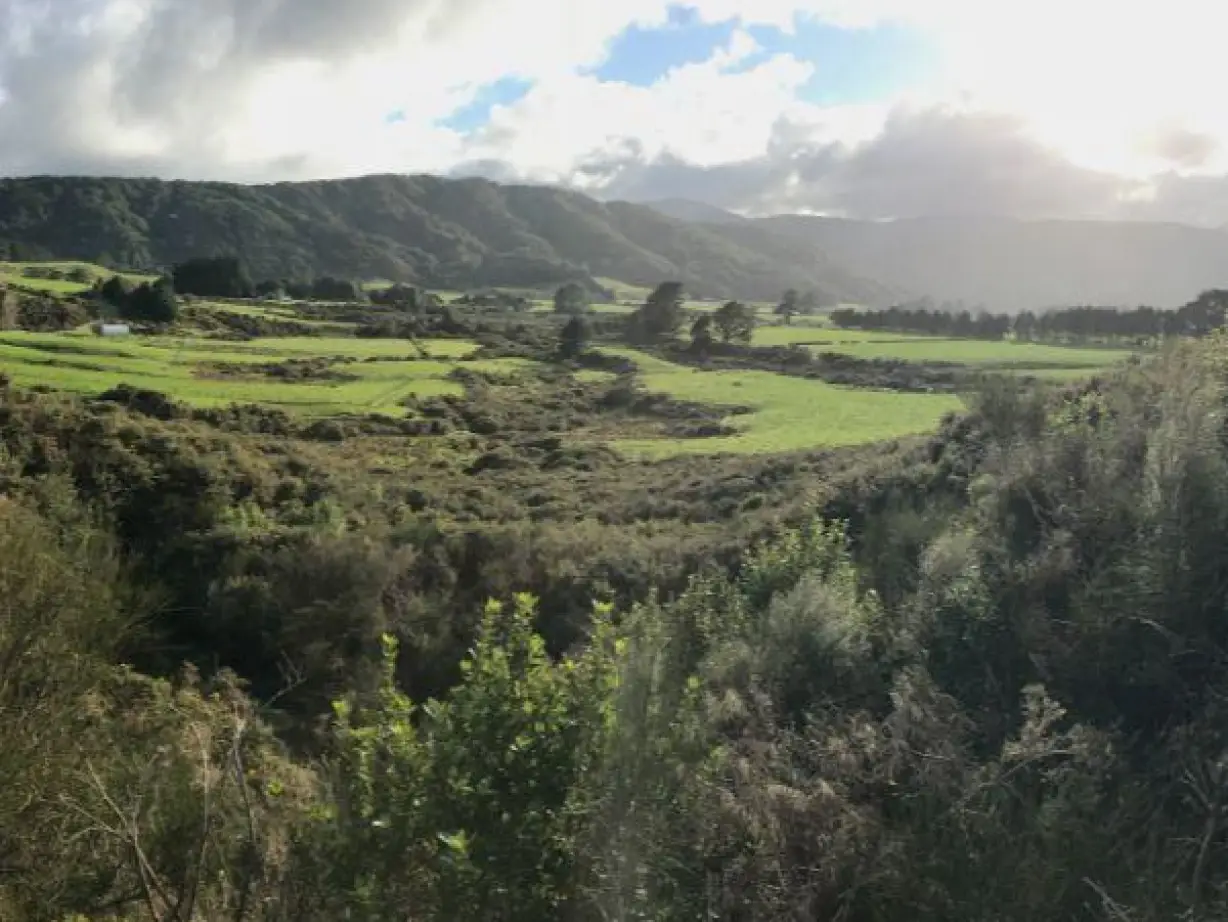 Nz north upper hutt nature