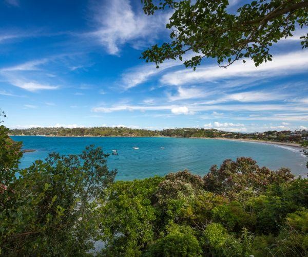 Nz north waiheke bay view