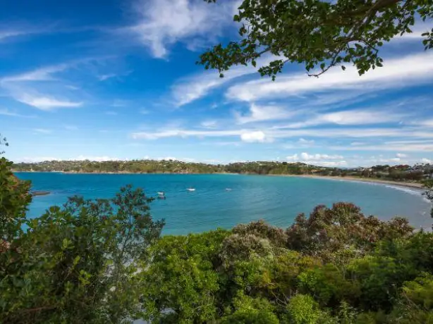 Nz north waiheke bay view