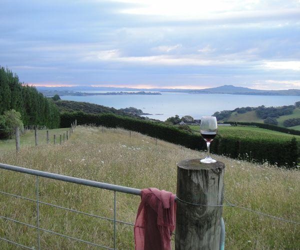 Nz north waiheke island mudbrick vineyard sunset