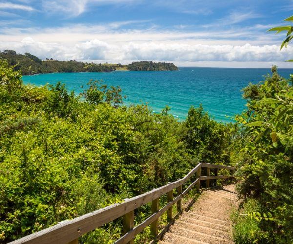 Nz north waiheke island walking trail beach