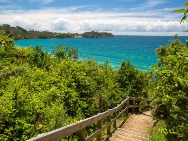 Nz north waiheke island walking trail beach