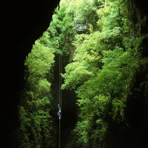 Nz north waitomo caves abseil
