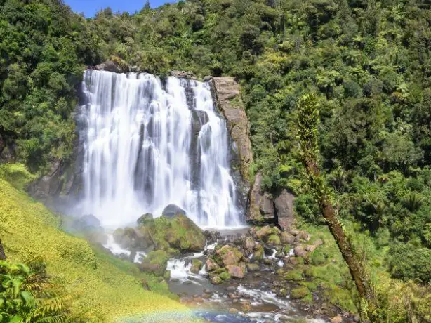 nz north waitomo marokopa falls