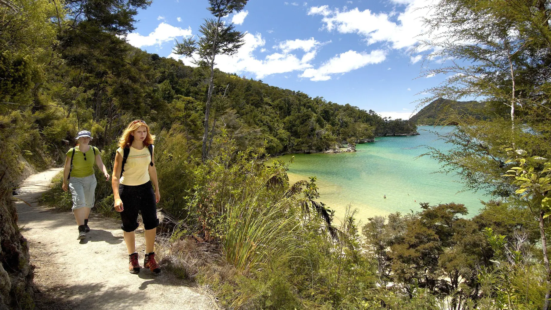 Nz abel Tasman coast walk