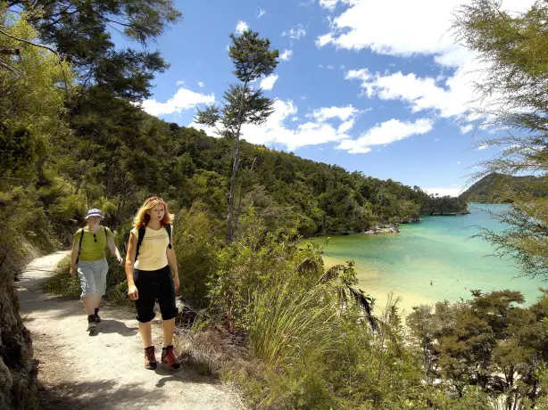 Nz abel Tasman coast walk