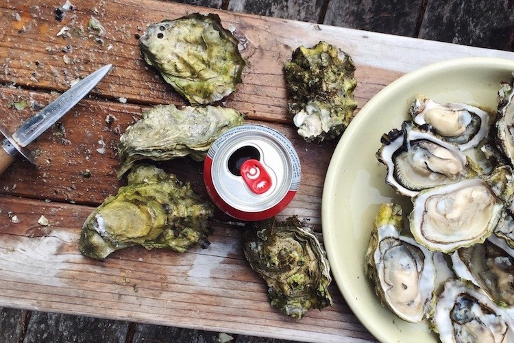NZ bluff oysters cuisine seafood