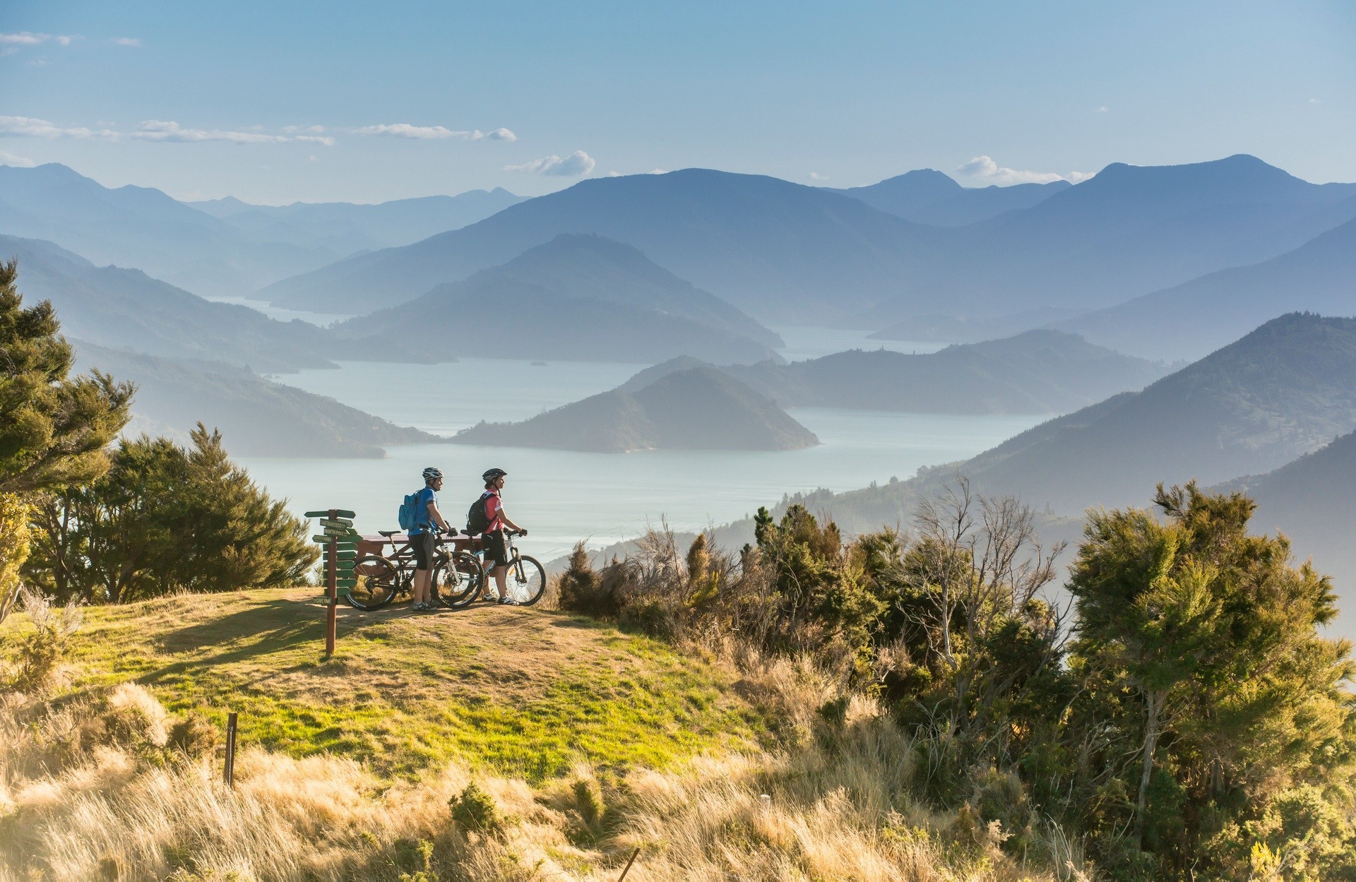 Nz south Marlborough sounds