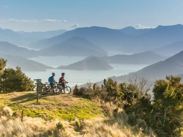 Nz south Marlborough sounds