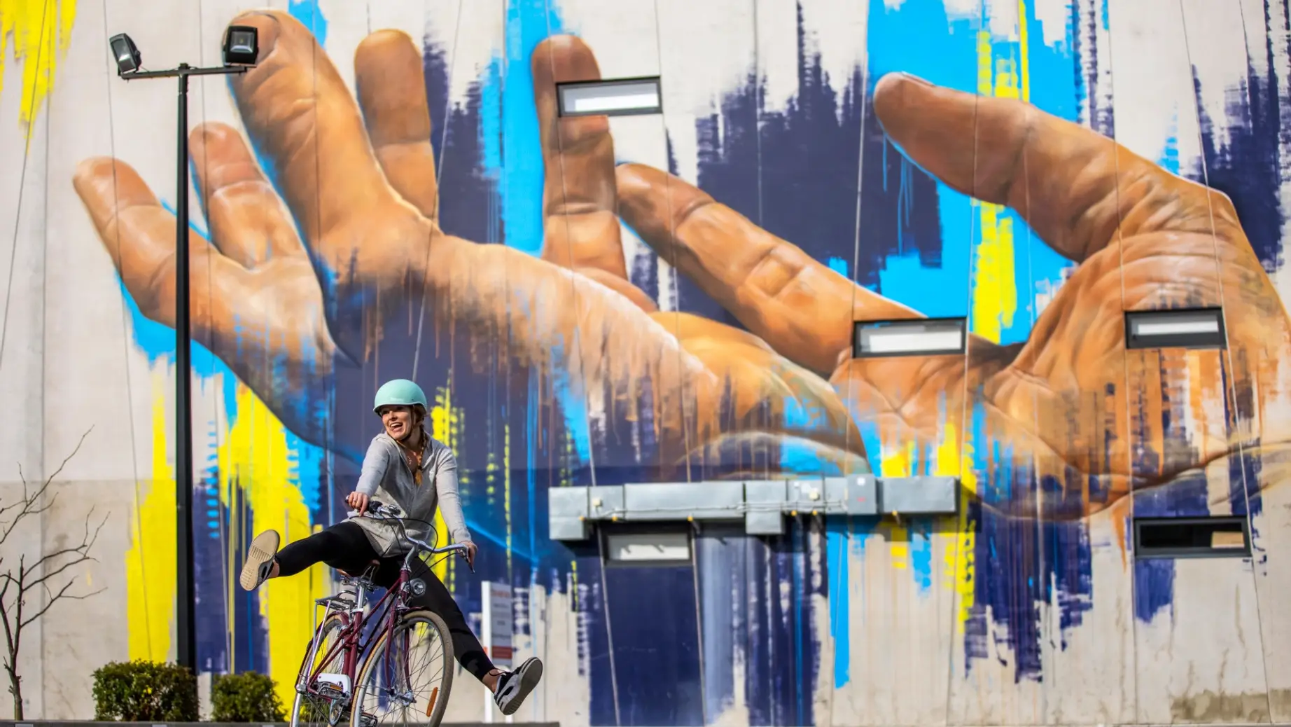 Nz south Christchurch Street Art