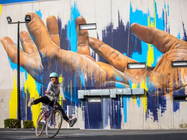Nz south Christchurch Street Art