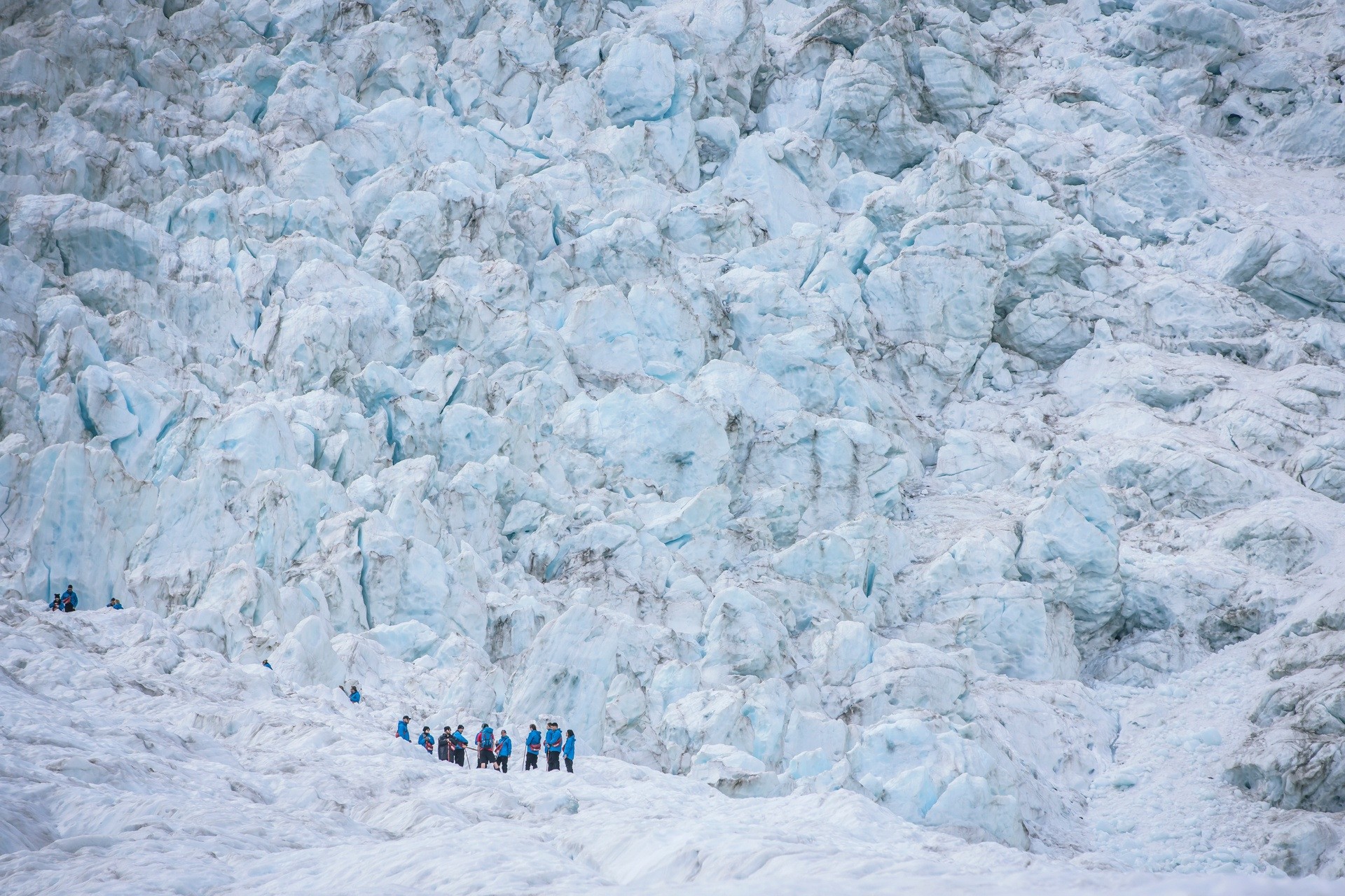 Nz south Franz Josef West Coast