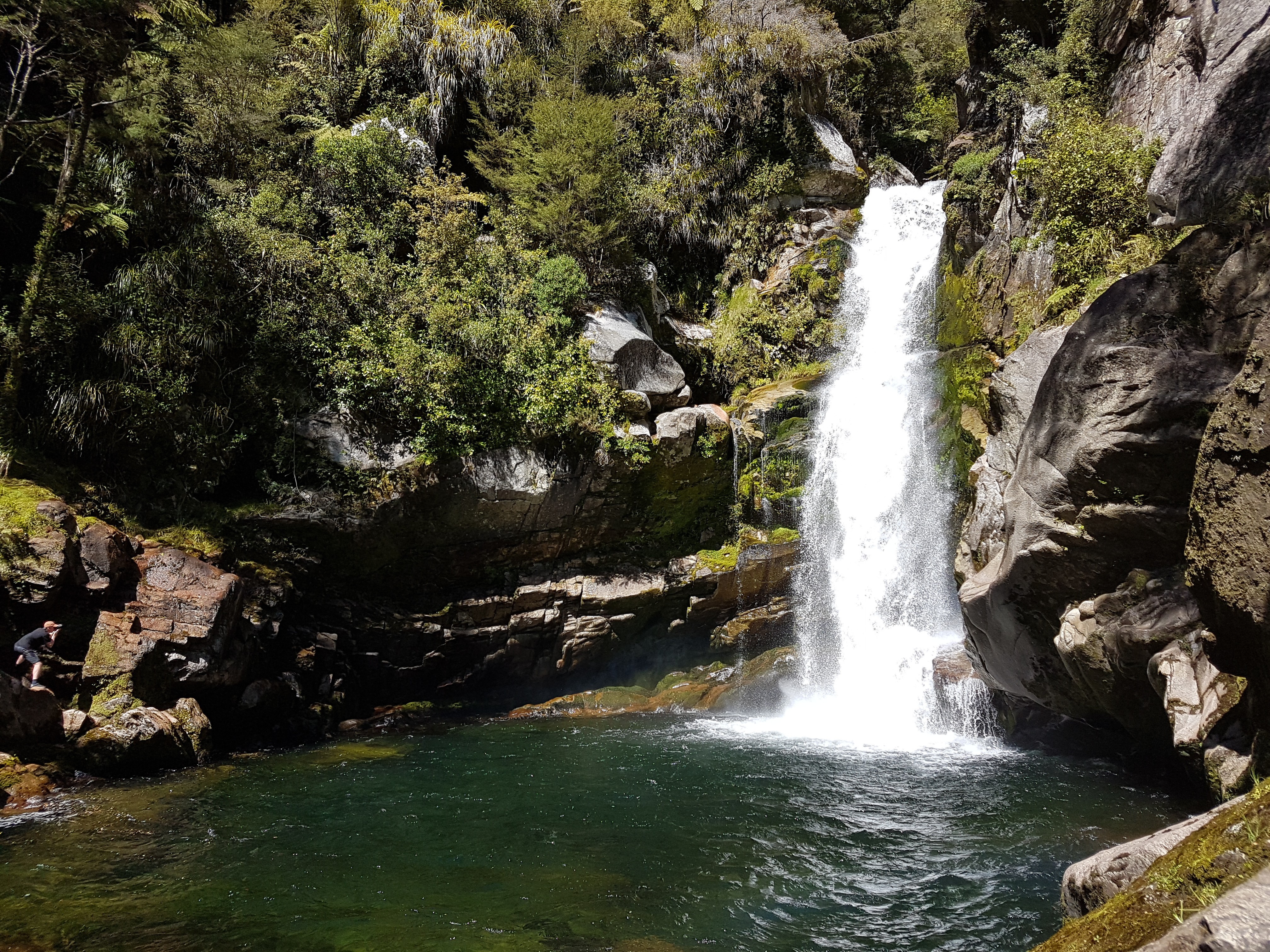 Nz south abel tasman Wainui Falls Track
