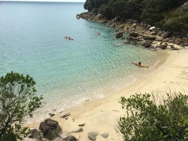 Nz south abel tasman aerial shot