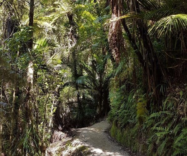 Nz south abel tasman waihui falls 2