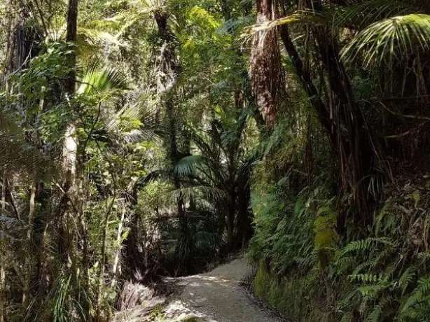 Nz south abel tasman waihui falls 2