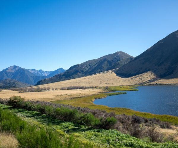 Nz south christchurch tranzalpine railway views