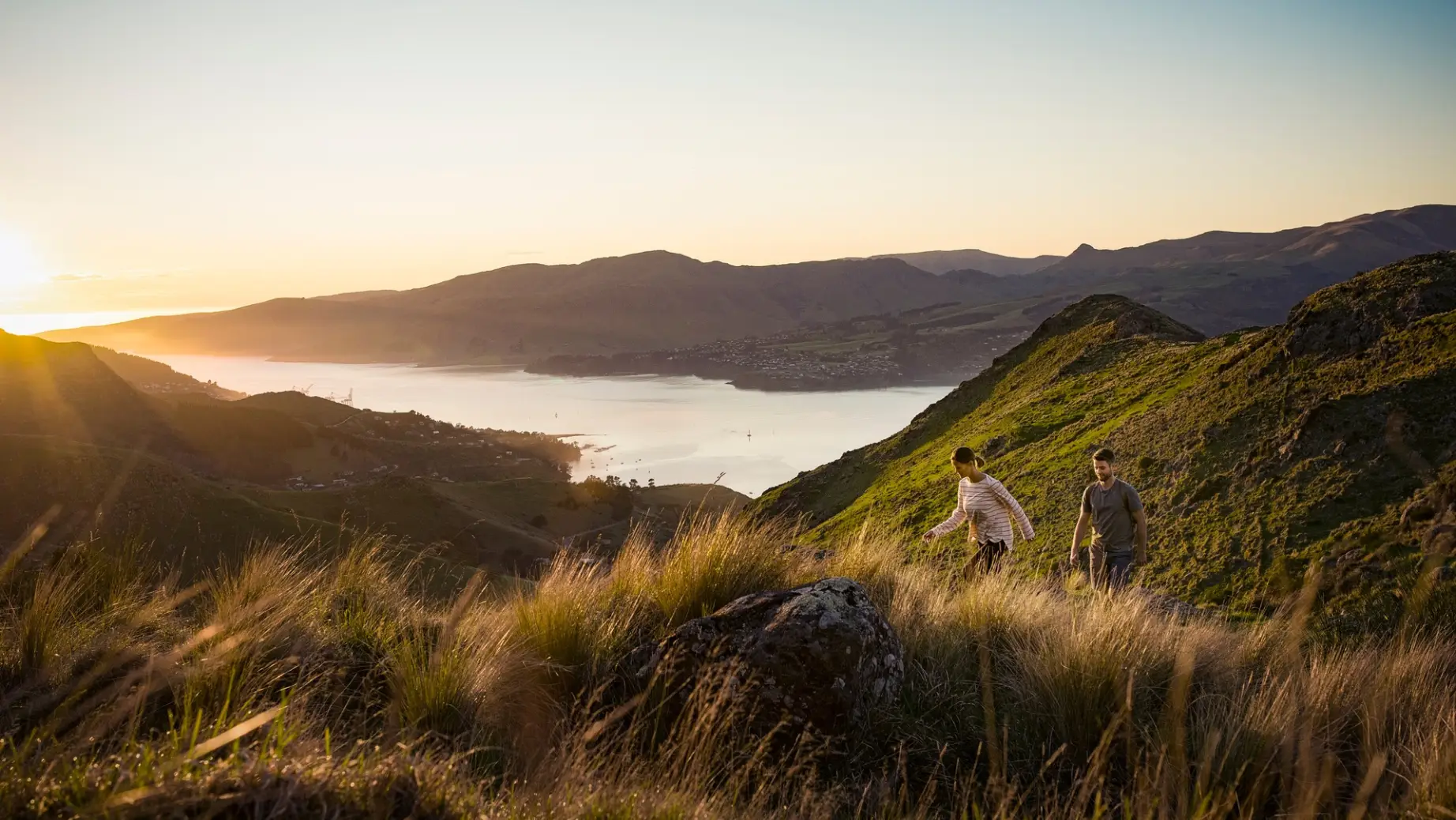 Nz south christchurch Port Hills Julian Apse