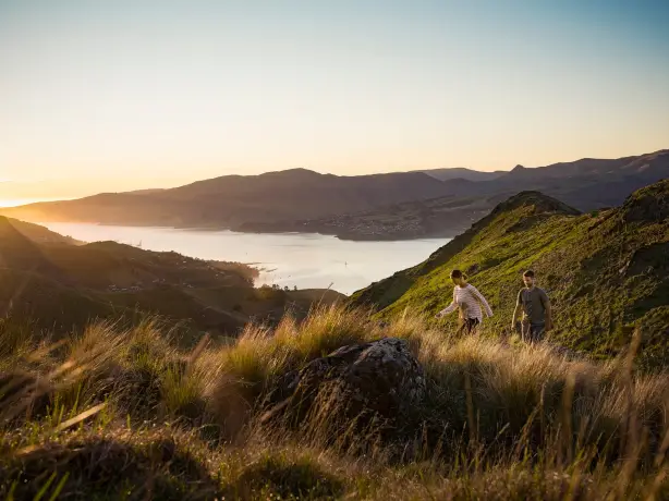 Nz south christchurch Port Hills Julian Apse