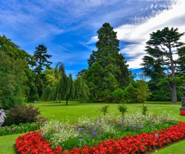 Nz south christchurch botanic gardens flowers park