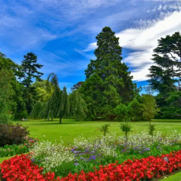 Nz south christchurch botanic gardens flowers park