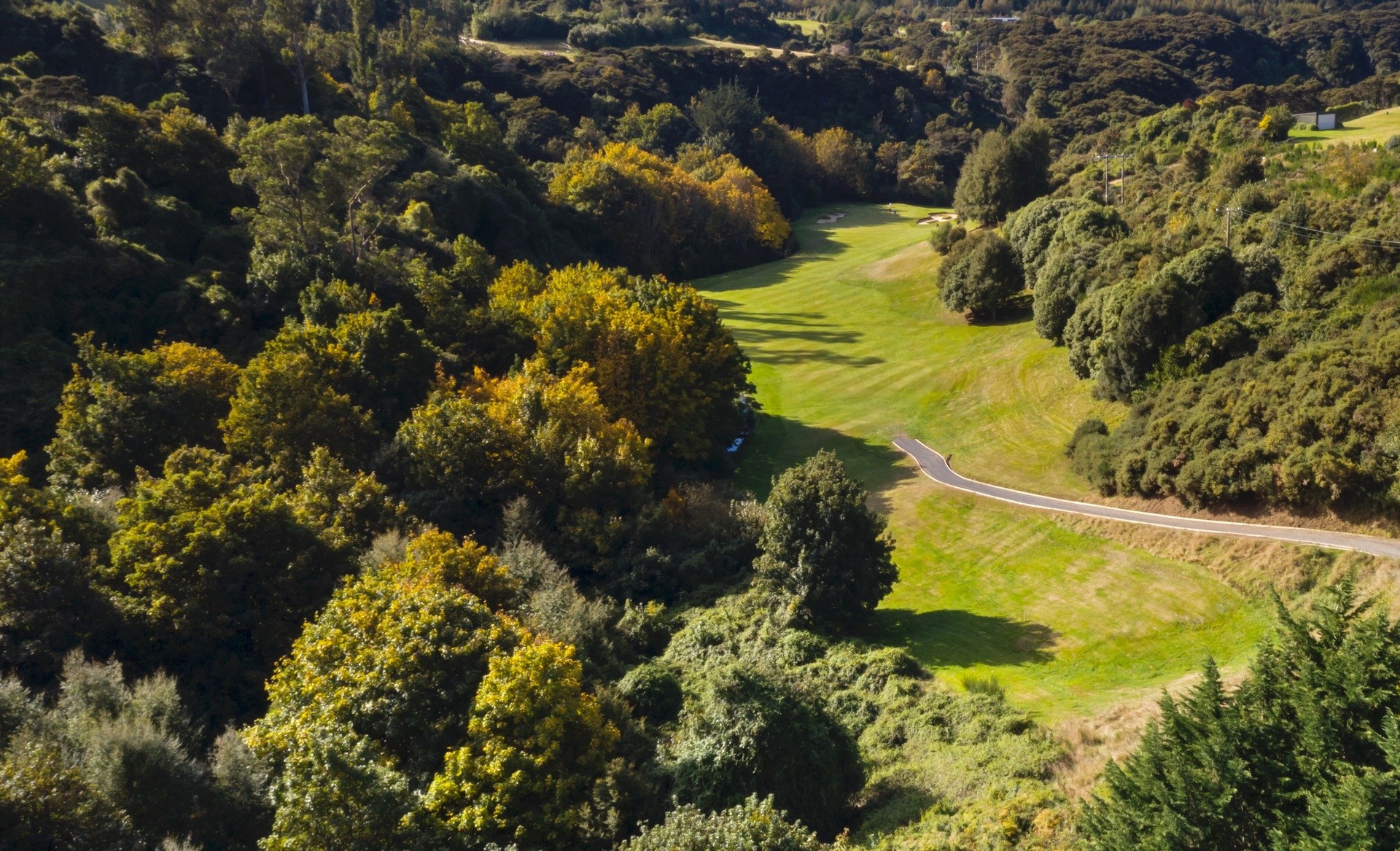 Nz south dunedin Otago golf course