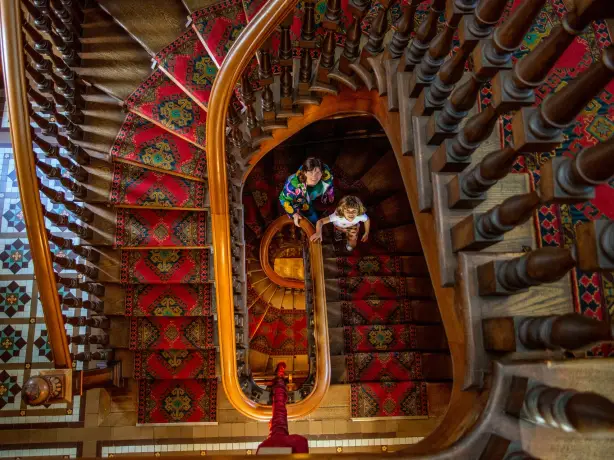 nz south dunedin larnach castle