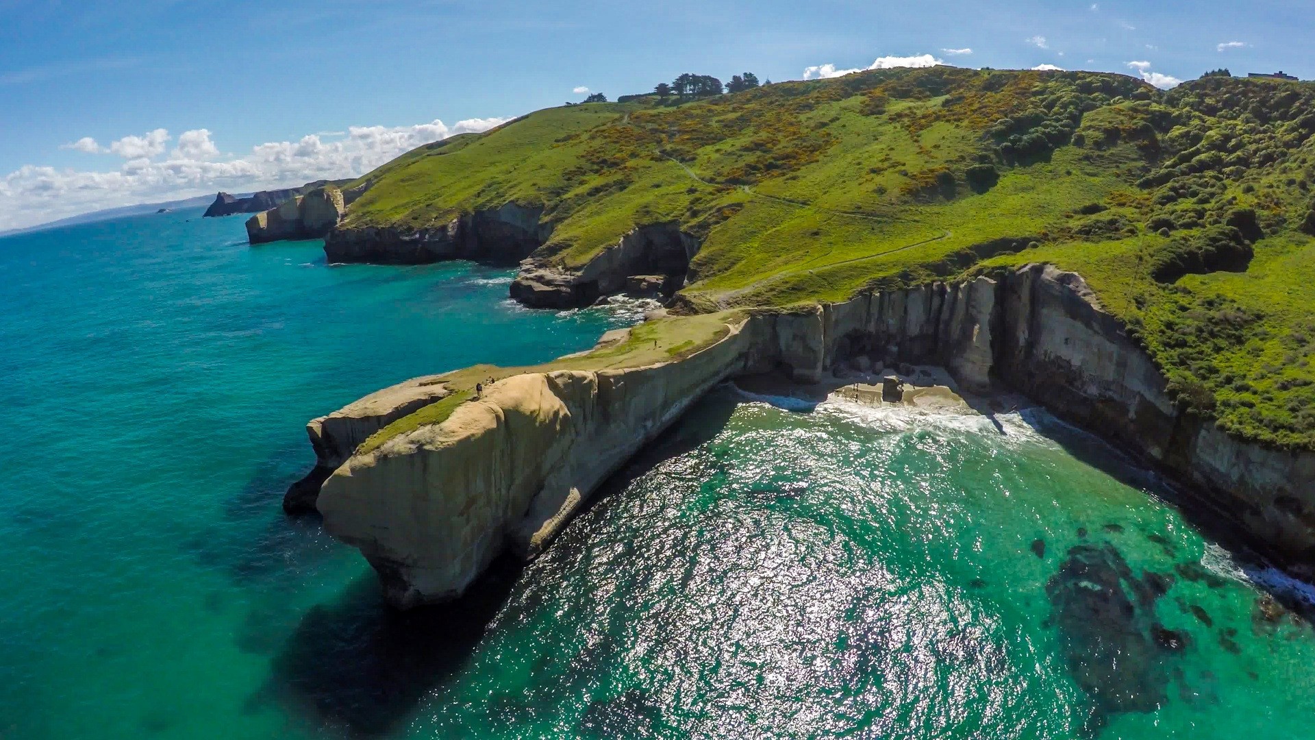Nz south dunedin Tunnel Beach Dunedin