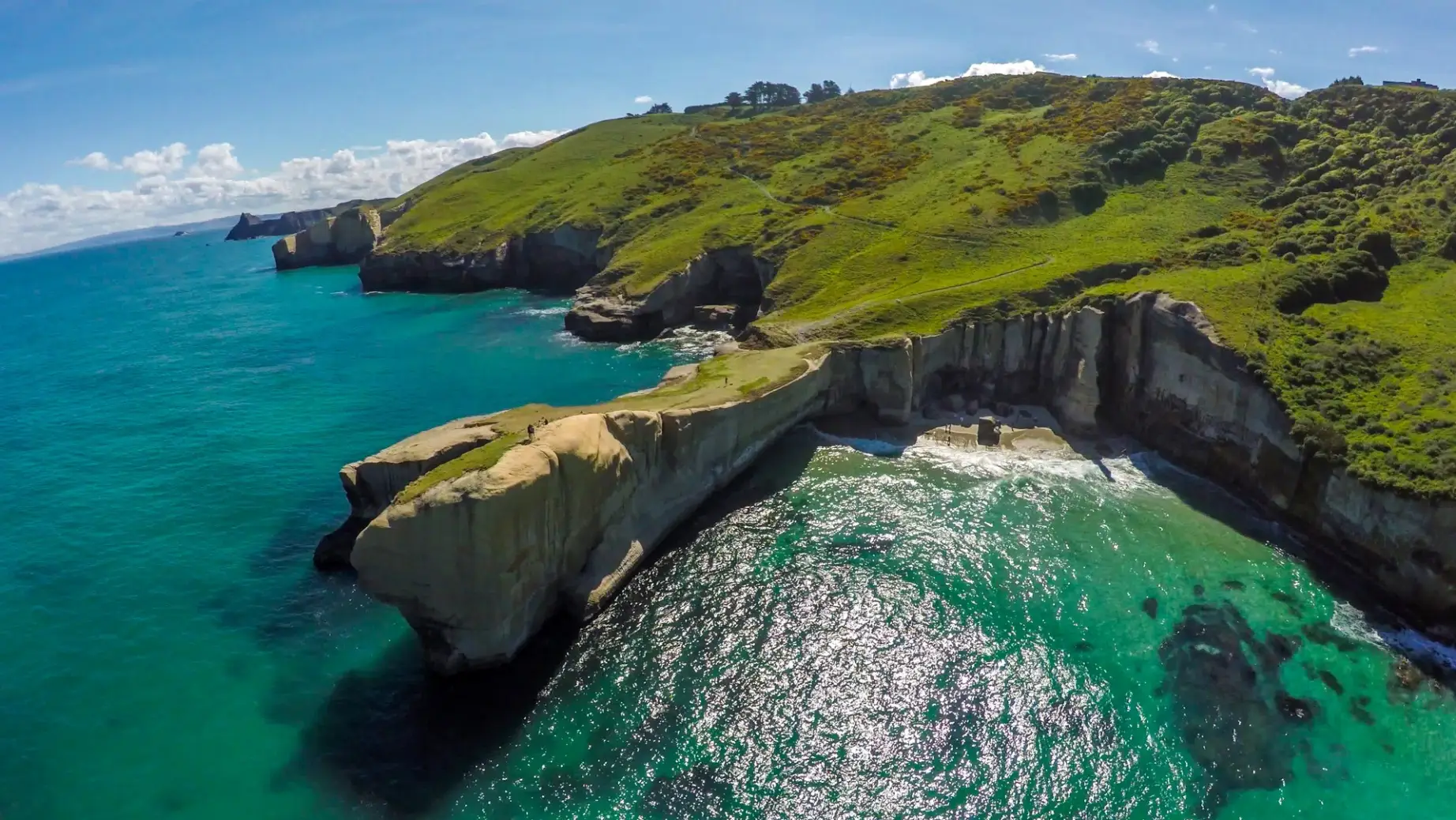 Nz south dunedin Tunnel Beach Dunedin