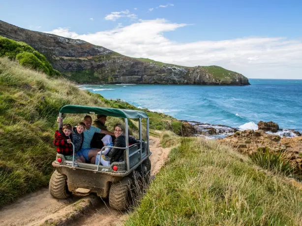 nz south dunedin family beach quad